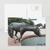 Mustangs van Las Colinas # 1 Briefkaart (Voorkant / Achterkant)