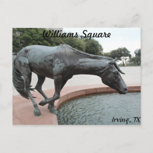 Mustangs van Las Colinas # 1 Briefkaart