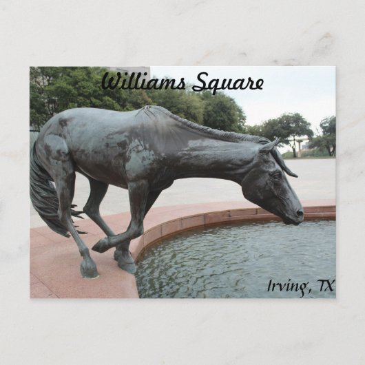 Mustangs van Las Colinas # 1 Briefkaart (Voorkant)
