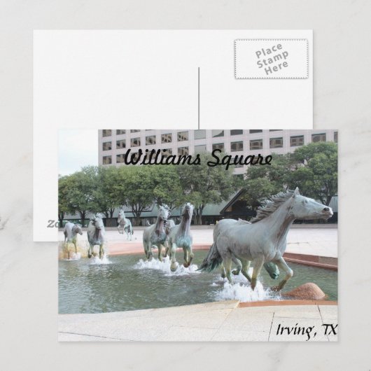 Mustangs van Las Colinas # 21 Briefkaart (Voorkant / Achterkant)