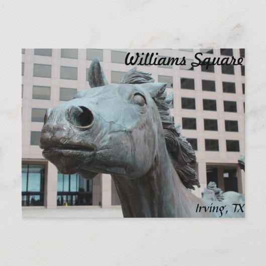 Mustangs van Las Colinas # 22 Briefkaart (Voorkant)