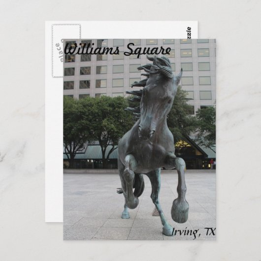 Mustangs van Las Colinas # 25 Briefkaart (Voorkant / Achterkant)