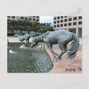 Mustangs van Las Colinas # 28 Briefkaart