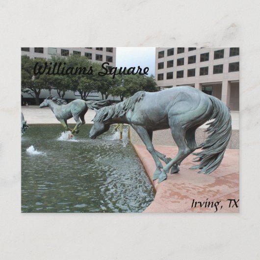 Mustangs van Las Colinas # 28 Briefkaart (Voorkant)