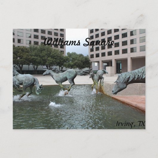 Mustangs van Las Colinas # 3 Briefkaart (Voorkant)