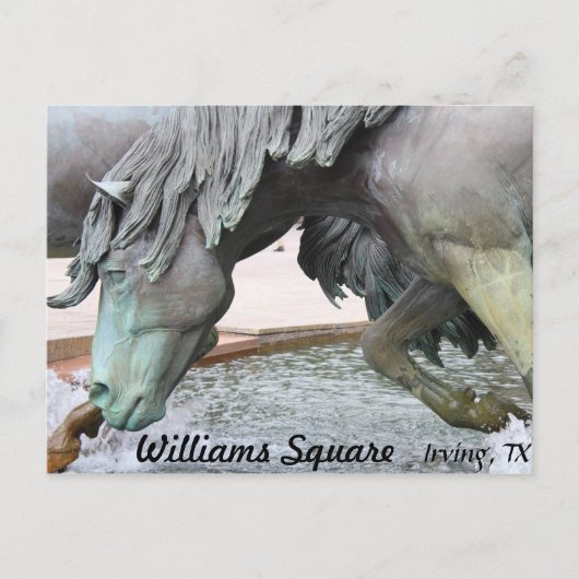 Mustangs van Las Colinas # 8 Briefkaart (Voorkant)