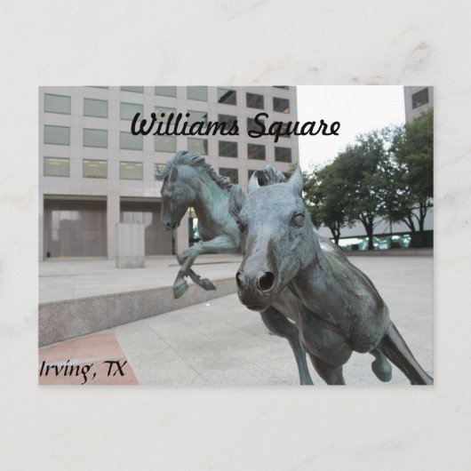 Mustangs van Las Colinas # 9 Briefkaart (Voorkant)