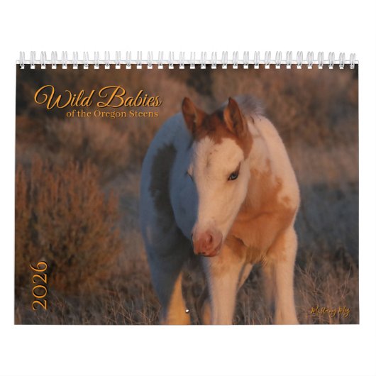 MustangWild 2026 "Wilde Baby's" Kalender (Hoes)