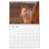 MustangWild 2026 "Wilde Baby's" Kalender (Mar 2027)