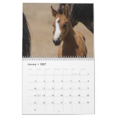 MustangWild 2026 "Wilde Baby's" Kalender (Jan 2027)