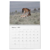 MustangWild 2026 "Wilde Baby's" Kalender (Feb 2027)