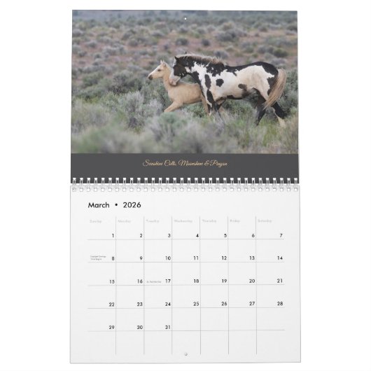 MustangWILD Kalender 2025 (Mar 2026)