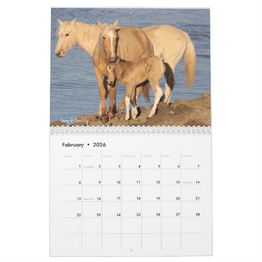 MustangWild's kalender van 12 maanden voor 2022  (Feb 2026)