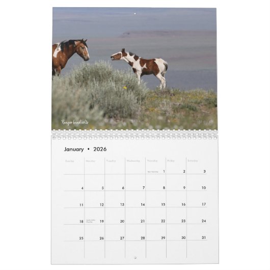 MustangWild's kalender van 12 maanden voor 2022  (Jan 2026)