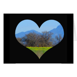 Mustard blooming in Springtime Sonoma County