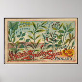 Mustard, Cloves, Cinnamon Spices Advertisement Poster (Voorkant)