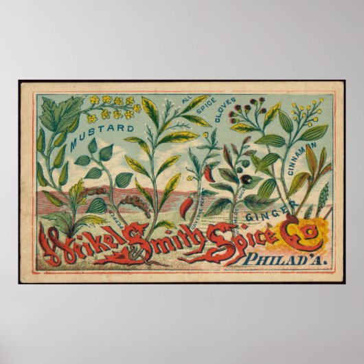 Mustard, Cloves, Cinnamon Spices Advertisement Poster (Voorkant)