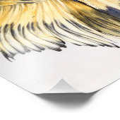 Mustard Gas Halfmoon Betta Foto Afdruk (Hoek)