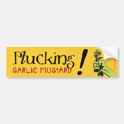 Mustard van knoflook plukken! bumpersticker (Voorkant)