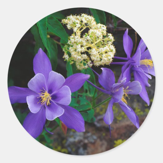 Mutant Columbine Wilde bloemen Ronde Sticker (Voorkant)