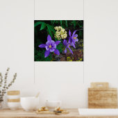 Mutante Aquilega-wildbloemen Poster (Keuken)