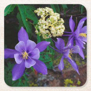 Mutante Aquilegia-wildbloemen Kartonnen Onderzetters