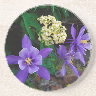 Mutante Aquilegia-wildbloemen Zandsteen Onderzetter