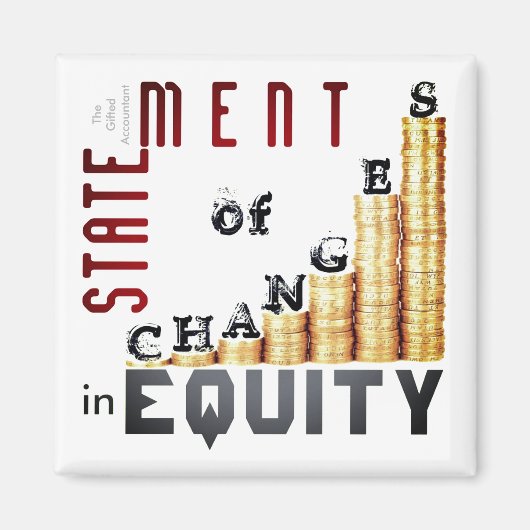 "Mutatieoverzicht van het eigen vermogen" Magneet (Voorkant)