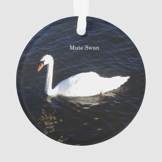 Mute Swan acrylversiering Ornament (achterkant)