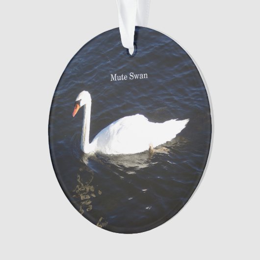 Mute Swan acrylversiering Ornament (voorkant)