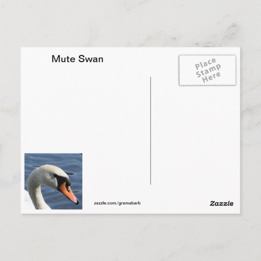 Mute Swan Briefkaart (Achterkant)