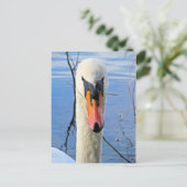 Mute Swan Briefkaart (Staand voorkant)