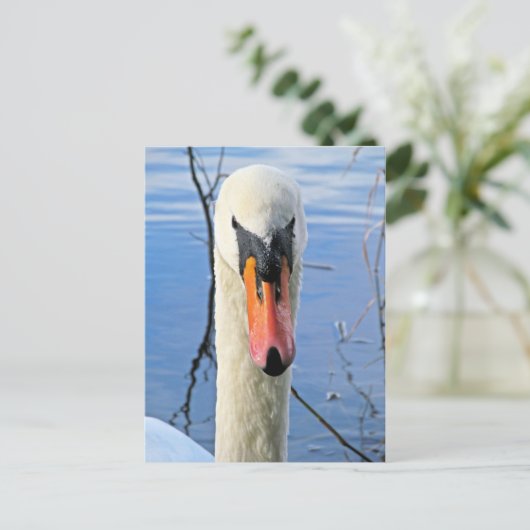 Mute Swan Briefkaart (Staand voorkant)