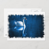 Mute Swan Briefkaart (Voorkant / Achterkant)
