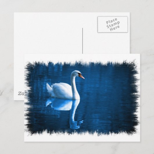 Mute Swan Briefkaart (Voorkant / Achterkant)