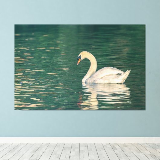 Mute Swan Canvas Afdruk (Insitu (Houten vloer))