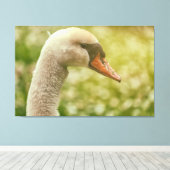 Mute Swan Canvas Afdruk (Insitu (Houten vloer))