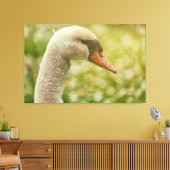 Mute Swan Canvas Afdruk (Insitu (Woonkamer))