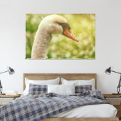Mute Swan Canvas Afdruk (Insitu (Slaapkamer))