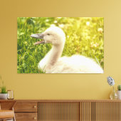 Mute Swan Cygnet Canvas Afdruk (Insitu (Woonkamer))