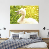 Mute Swan Cygnet Canvas Afdruk (Insitu (Slaapkamer))