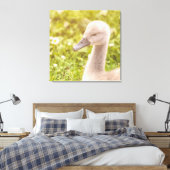 Mute Swan Cygnet Canvas Afdruk (Insitu (Slaapkamer))