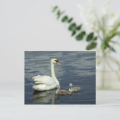 Mute Swan & Cygnets Feestdagenkaart (Staand voorkant)