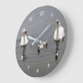 Mute Swan Cygnets Water Foto Grote Klok (Hoek)