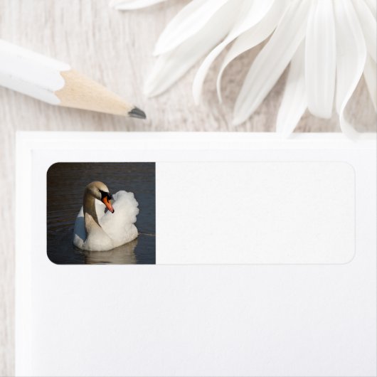 Mute Swan Etiket (Insitu)