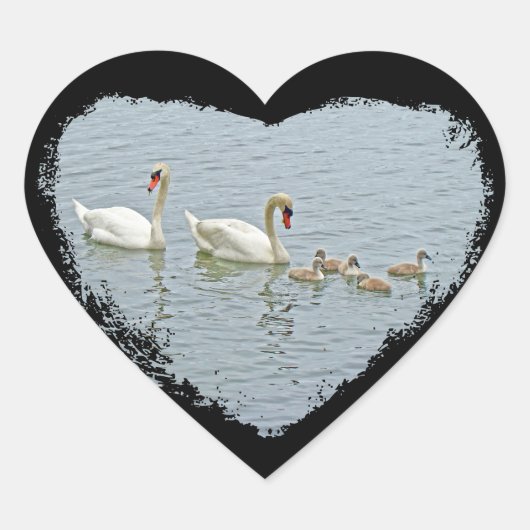 Mute Swan Famly Hart Sticker (Voorkant)