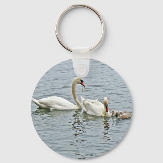 Mute Swan Famly Sleutelhanger (Voorkant)