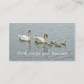 Mute Swan Famly Visitekaartje (Achterkant)