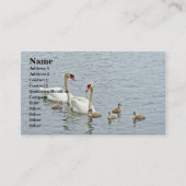 Mute Swan Famly Visitekaartje (Voorkant)
