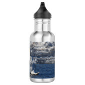 Mute Swan Fledging Waterfles (Rechts)